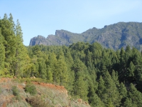 lapalma-1