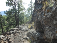 lapalma-2