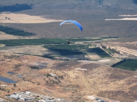 zuid-afrika-aas-03