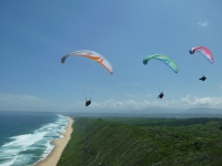 zuid-afrika-aas-09