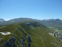 zuid-afrika-aas-12