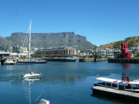 zuid-afrika-aas-20
